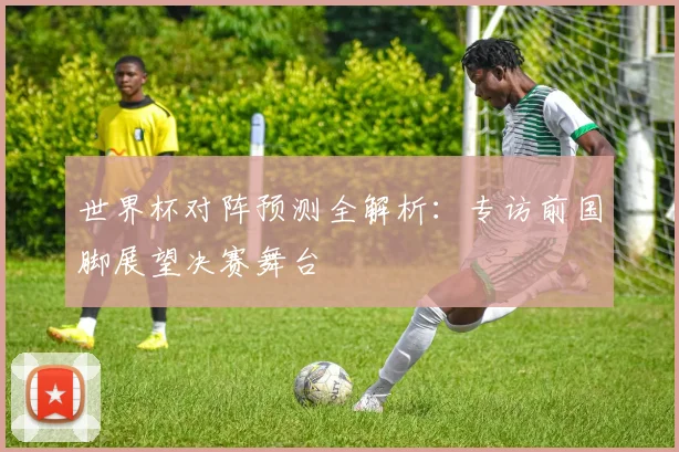 世界杯对阵预测全解析:专访前国脚展望决赛舞台