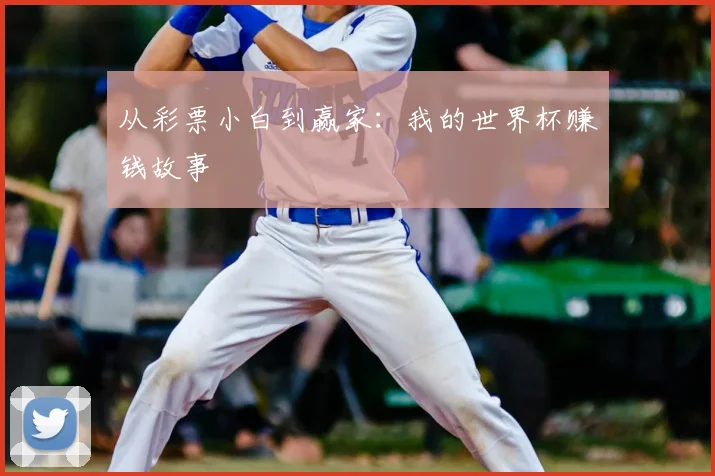 从彩票小白到赢家：我的世界杯赚钱故事