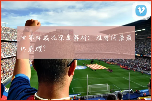 世界杯战况深度解析：谁将问鼎最终荣耀？