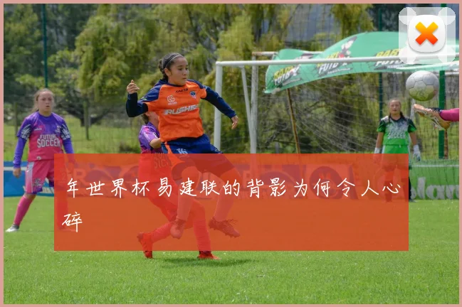 年世界杯易建联的背影为何令人心碎