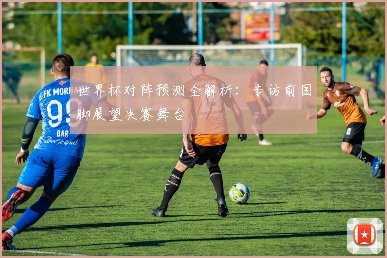 世界杯对阵预测全解析:专访前国脚展望决赛舞台